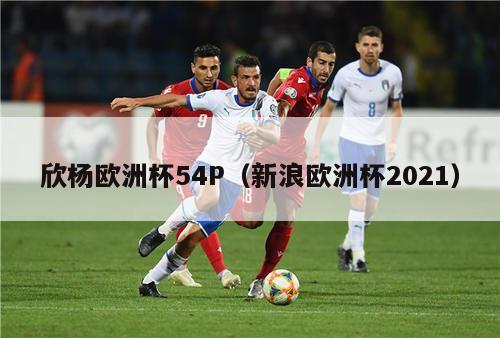 欣杨欧洲杯54P（新浪欧洲杯2021）